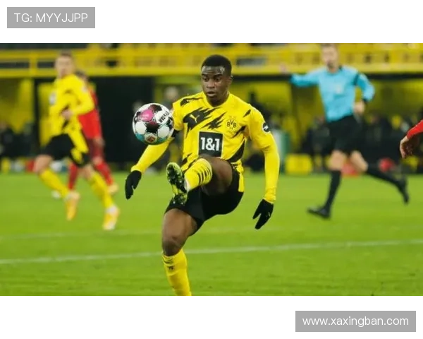 不来梅球队结构解析：当前阵容框架与战术体系分析