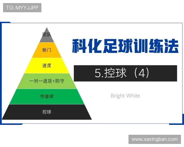 足球控球比率分析：本赛季各队控球数据走势清晰